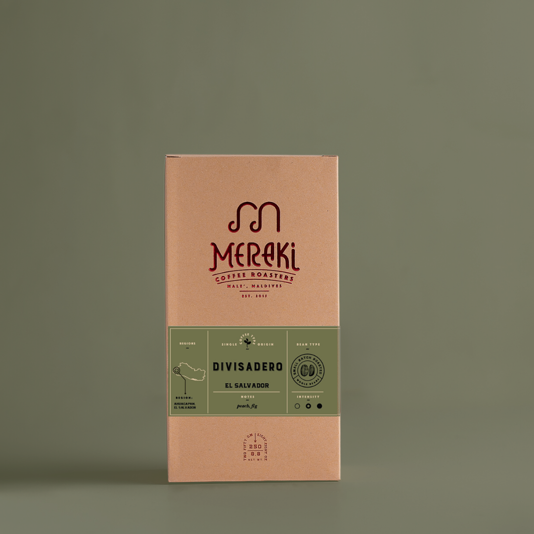 Divisadero | Filter Roast | El Salvador